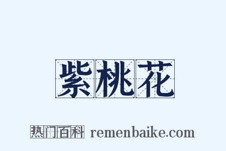 紫桃花是什么意思的图片